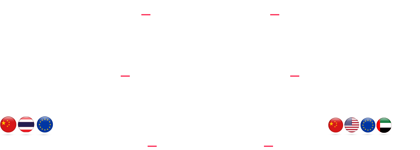 organization-2